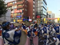 南越谷阿波踊り
