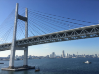 今年も宜しくお願い致します。