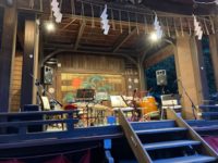 猫勧進in八幡神社