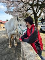 ４月は桜祭りで飛び回る