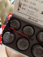 キッズ＆ハートのピノ