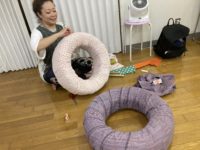 仙川カルチャー